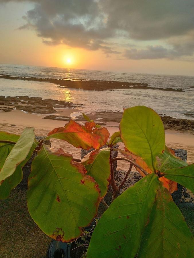 Pousada Tropicalia Tranquilidade A Beira Mar Santa Cruz Cabralia Exterior photo